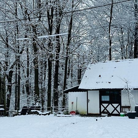 Romantyczna Chatka Pisarzowice  エクステリア 写真