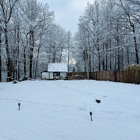 Romantyczna Chatka Pisarzowice  エクステリア 写真