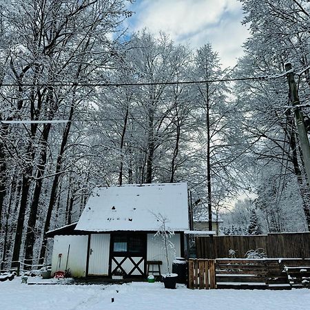 Romantyczna Chatka Pisarzowice  エクステリア 写真