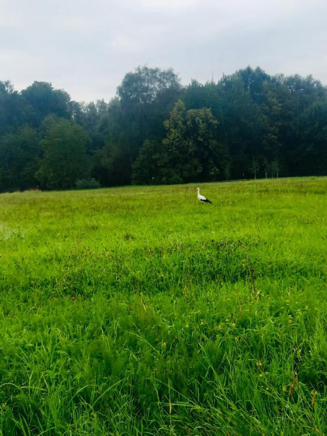 Romantyczna Chatka Pisarzowice  エクステリア 写真