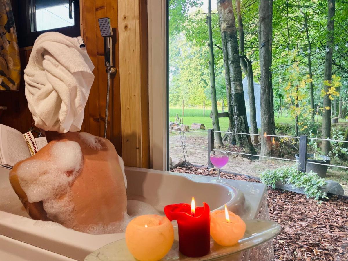 Romantyczna Chatka Pisarzowice  エクステリア 写真