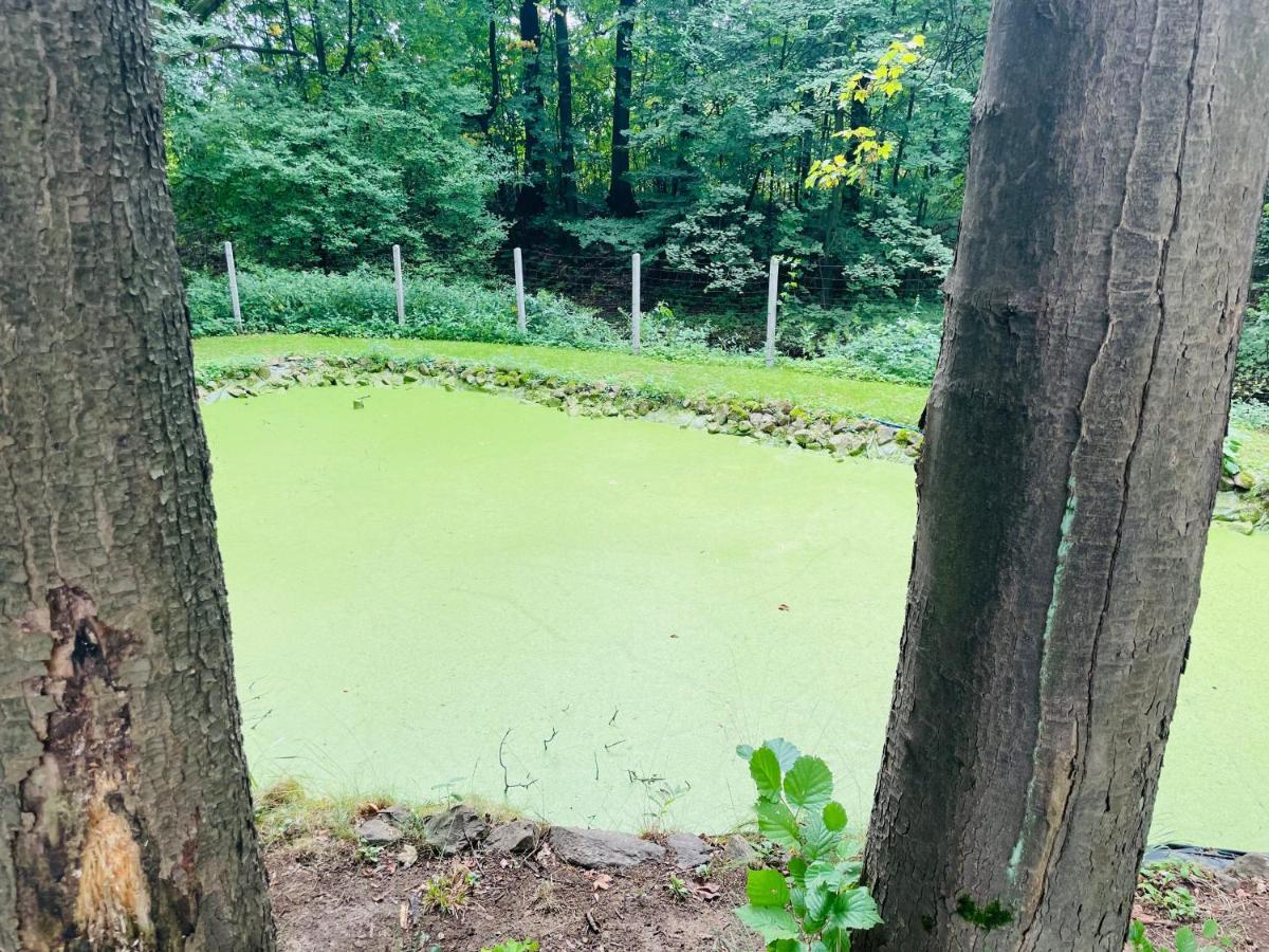 Romantyczna Chatka Pisarzowice  エクステリア 写真