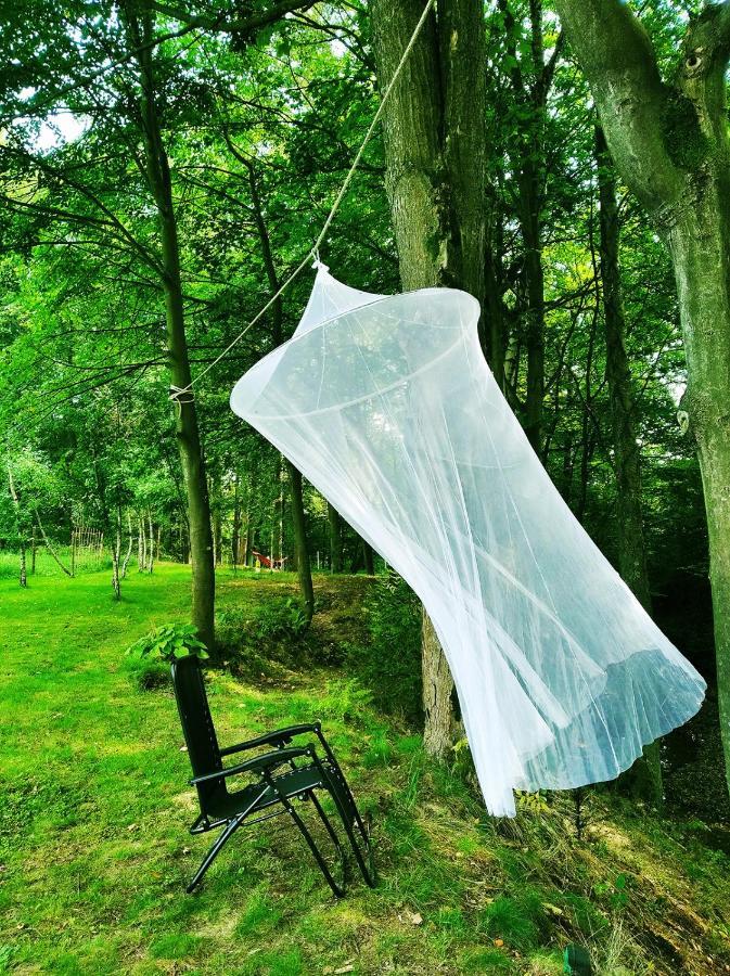 Romantyczna Chatka Pisarzowice  エクステリア 写真