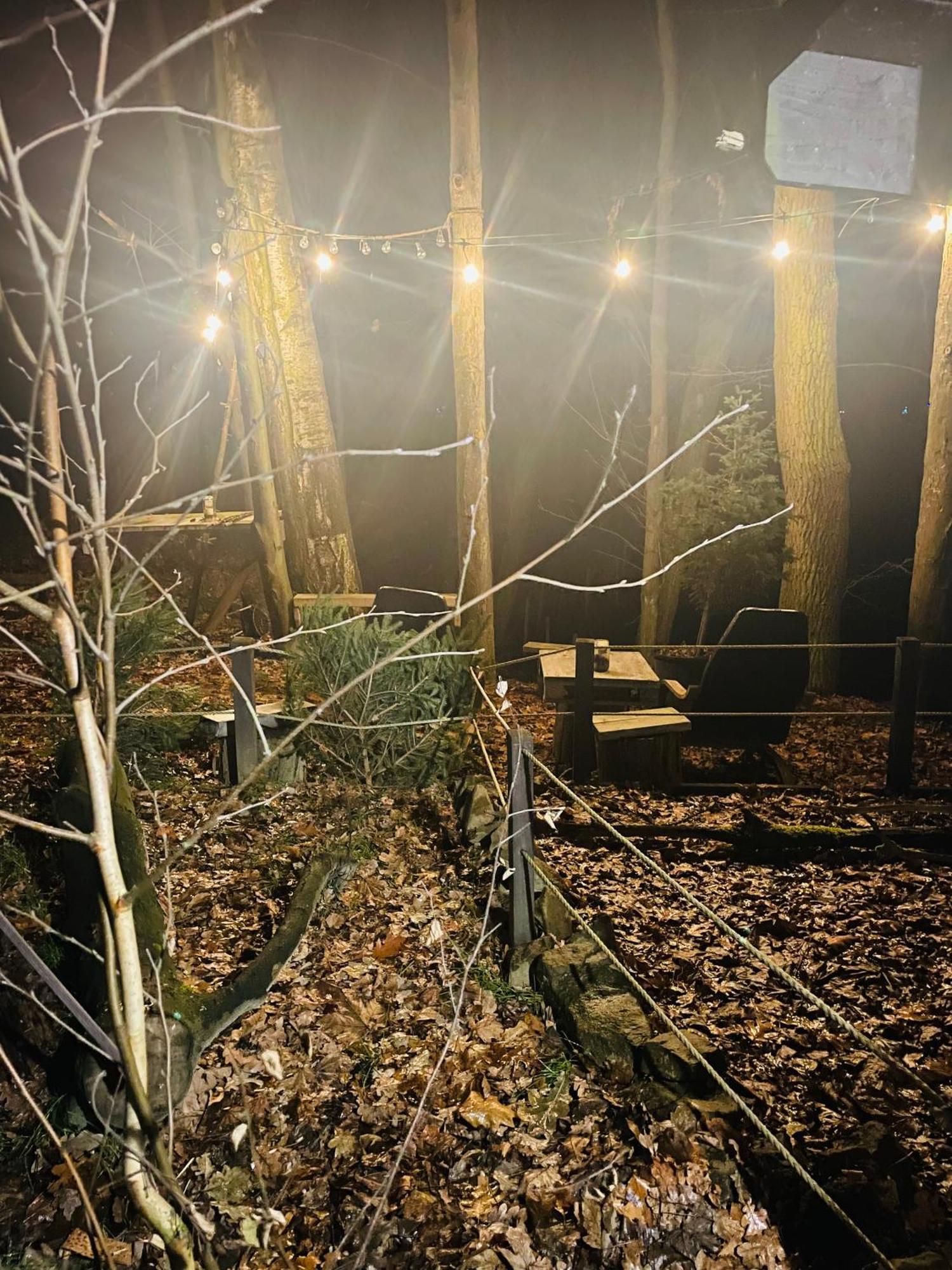 Romantyczna Chatka Pisarzowice  エクステリア 写真