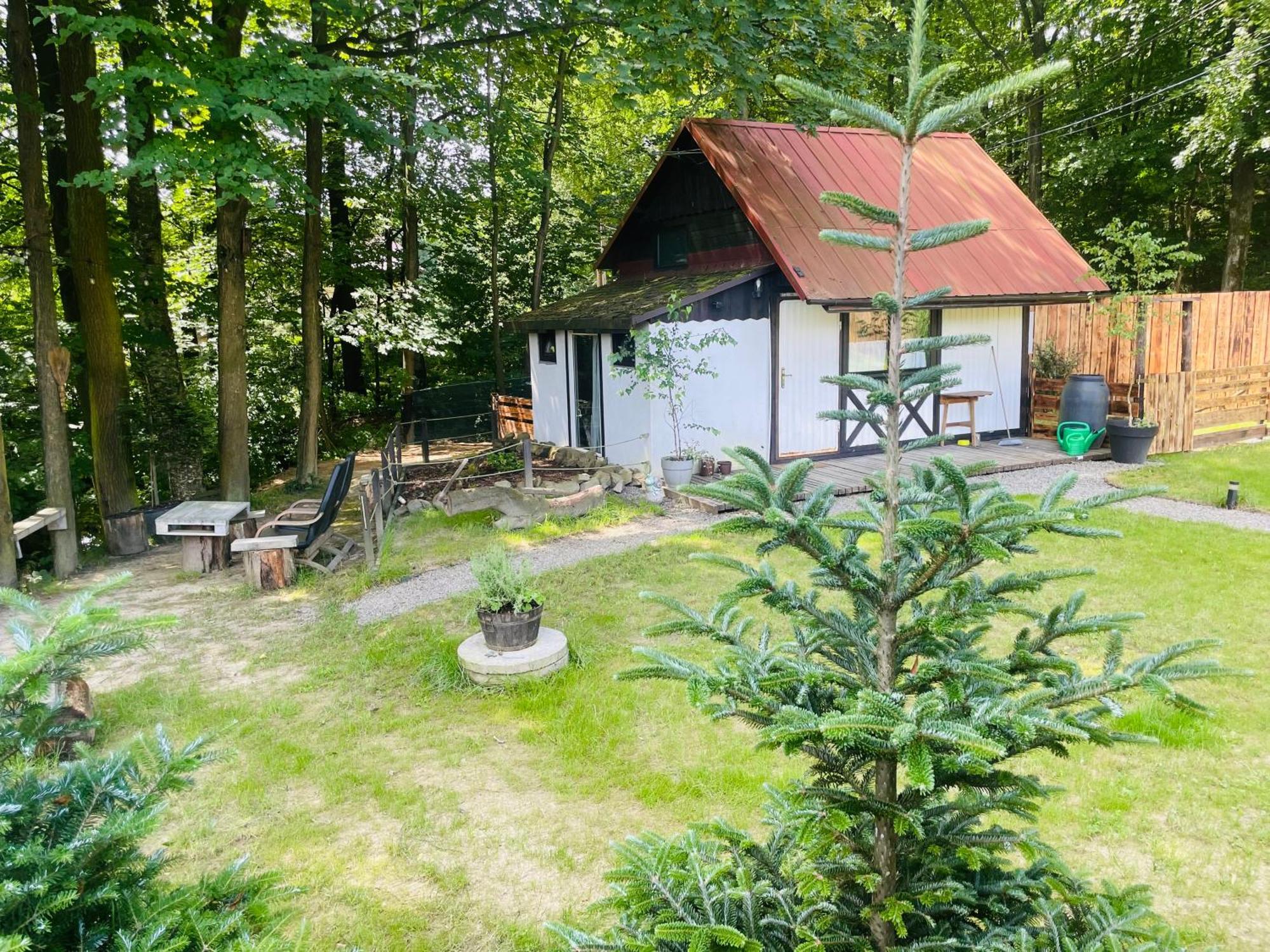 Romantyczna Chatka Pisarzowice  エクステリア 写真