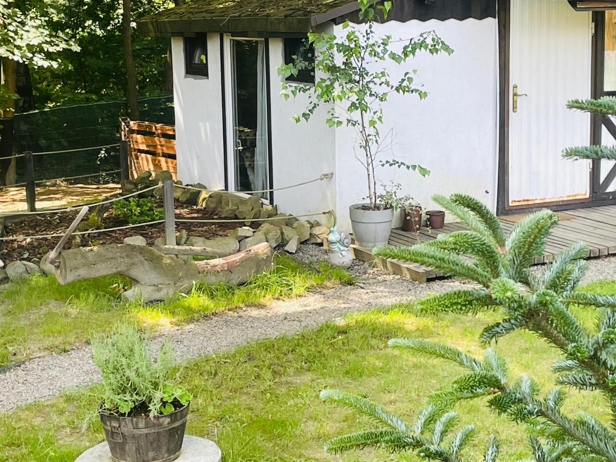 Romantyczna Chatka Pisarzowice  エクステリア 写真