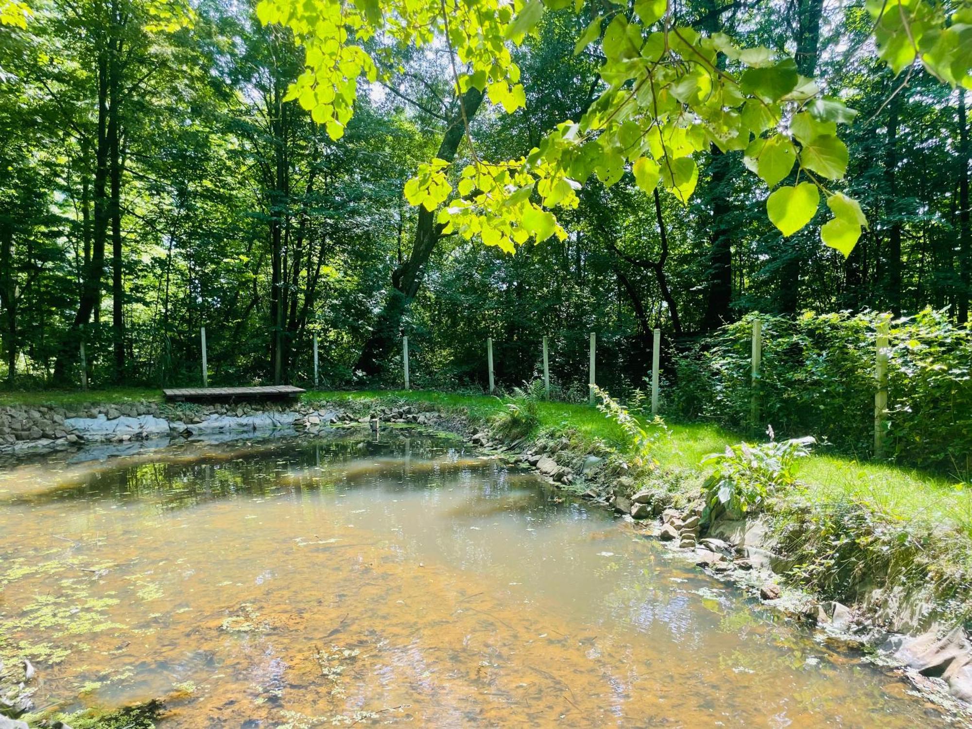 Romantyczna Chatka Pisarzowice  エクステリア 写真