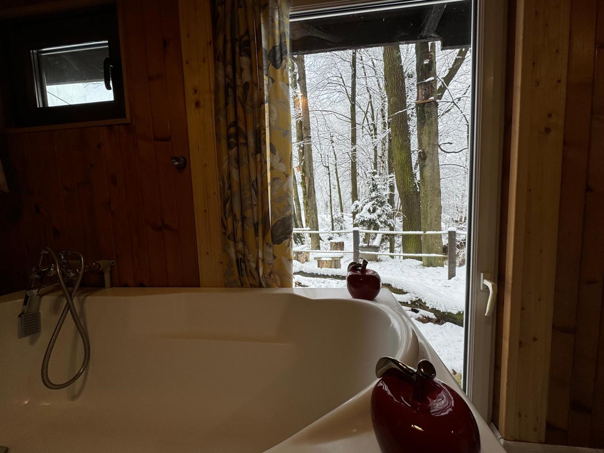Romantyczna Chatka Pisarzowice  エクステリア 写真