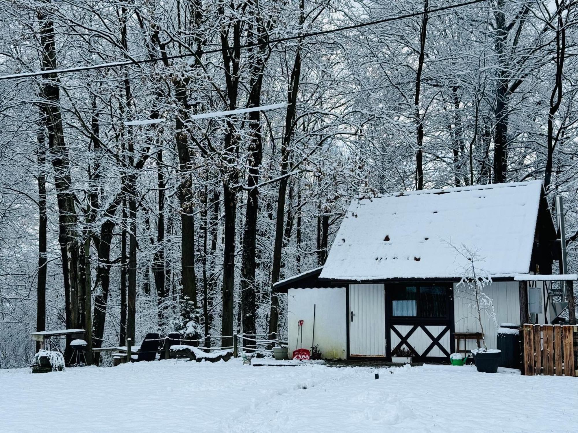 Romantyczna Chatka Pisarzowice  エクステリア 写真