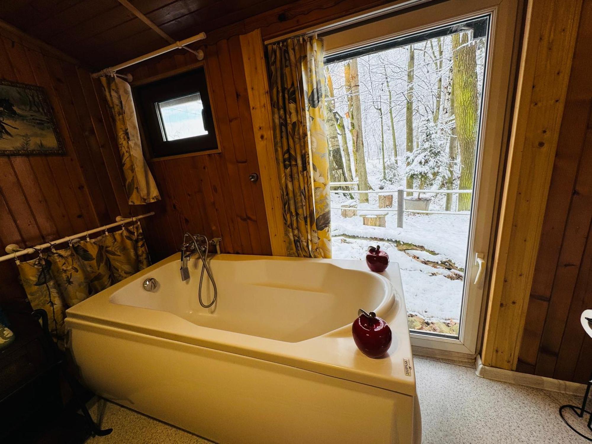 Romantyczna Chatka Pisarzowice  エクステリア 写真
