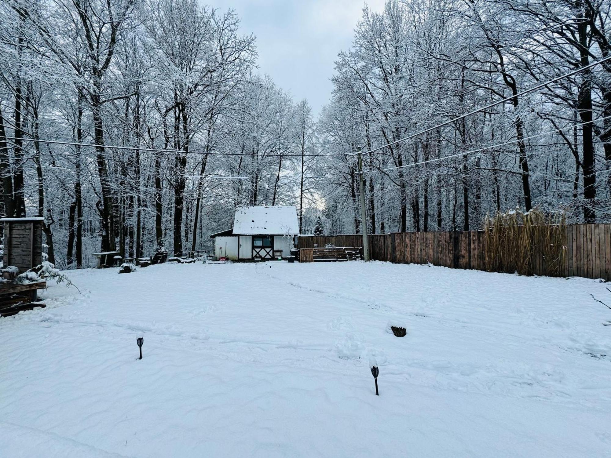 Romantyczna Chatka Pisarzowice  エクステリア 写真