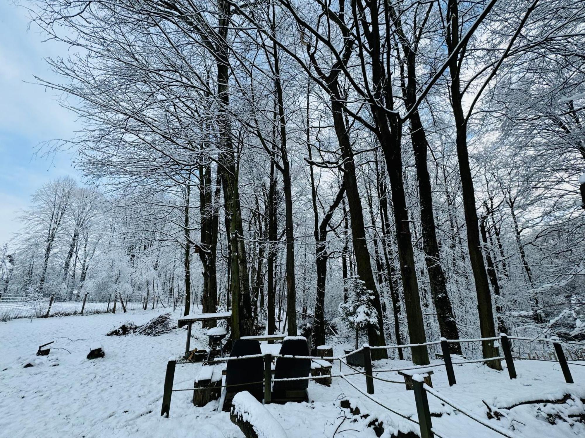 Romantyczna Chatka Pisarzowice  エクステリア 写真