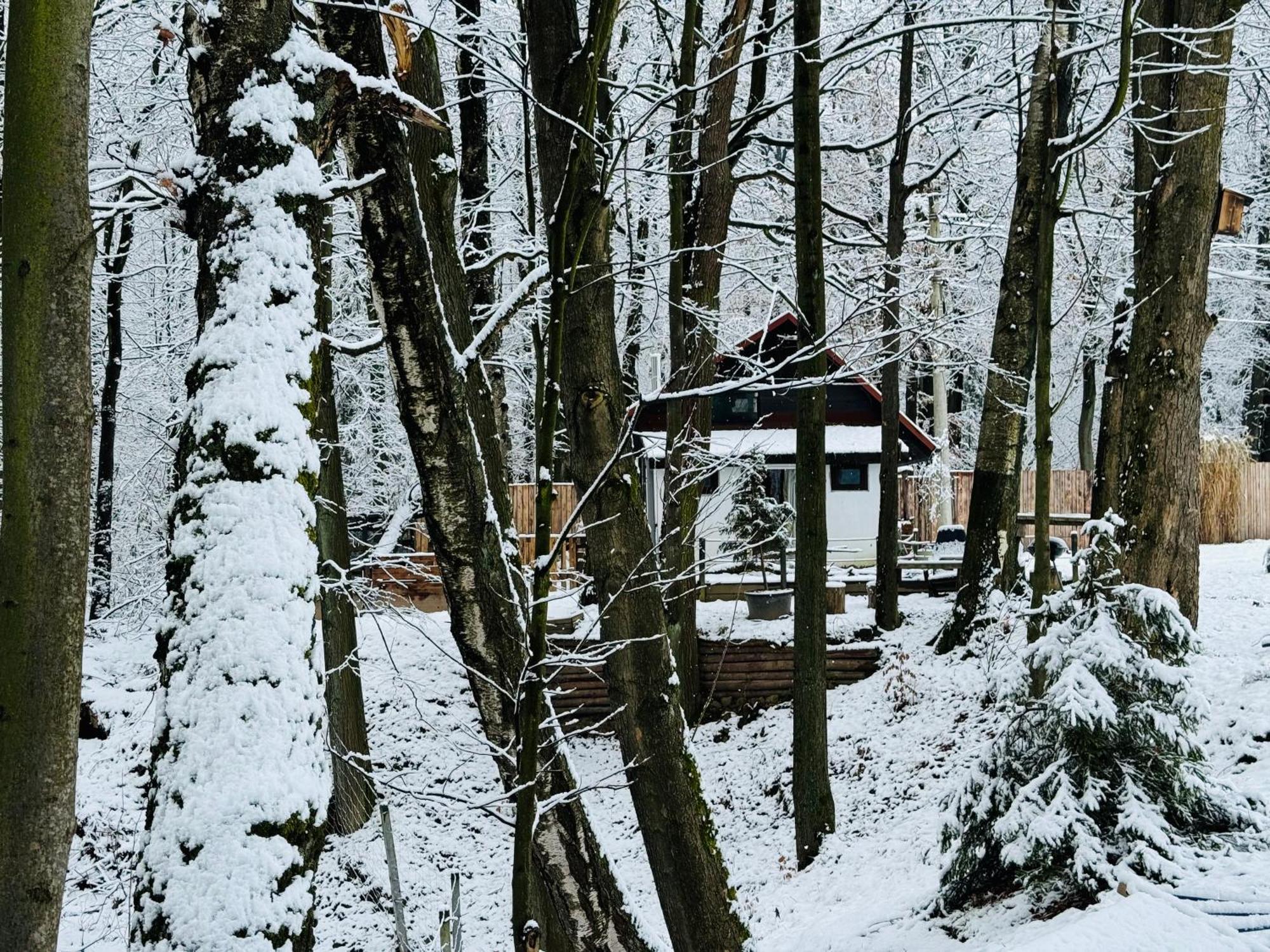 Romantyczna Chatka Pisarzowice  エクステリア 写真