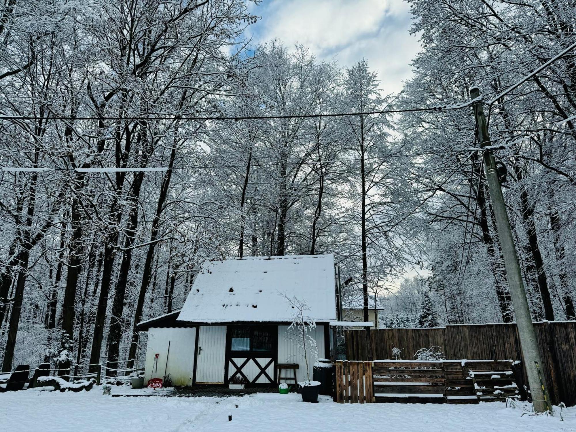 Romantyczna Chatka Pisarzowice  エクステリア 写真